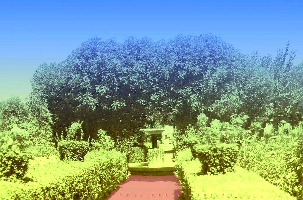 RIO SALADO 507  JARDIN PUBLIC.jpg